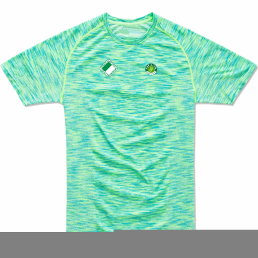 PERFOMANCE SHIRT MELANGE